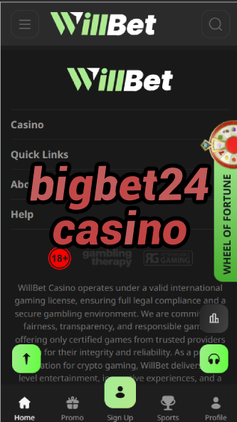 BigBet24 Casino - 24/7 Big Betting Action-casinoorder.vip